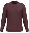 NS333 Native Spirit Unisex Crew Neck Long Sleeve T-Shirt Dark Cherry colour image